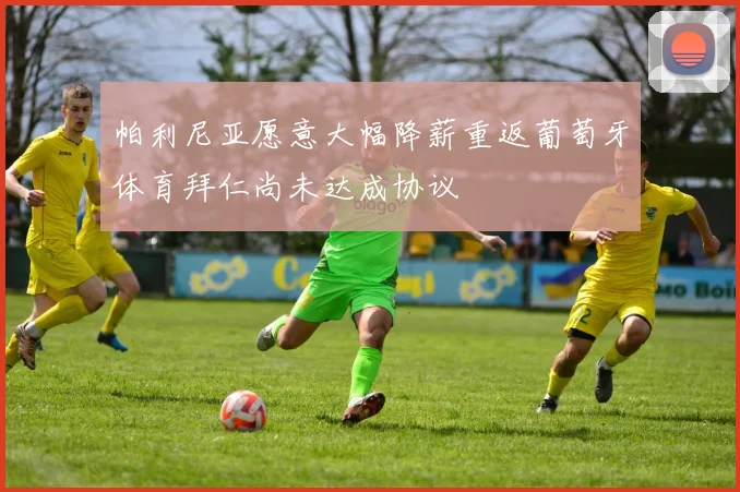 帕利尼亚愿意大幅降薪重返葡萄牙体育拜仁尚未达成协议